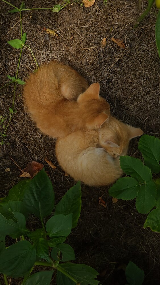 Photo #14061852