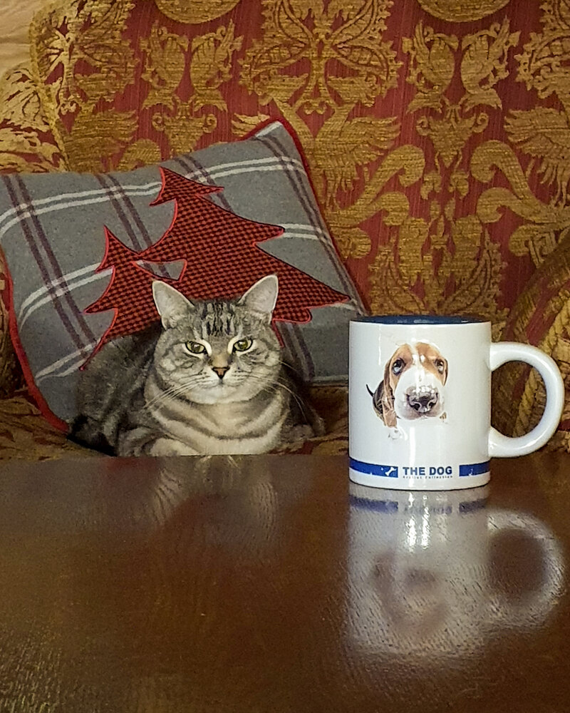 Photograph by Елена Павелко