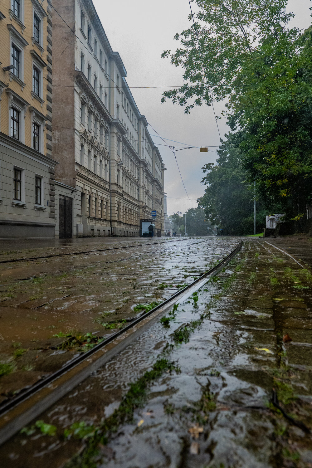 Фотография #14061944
