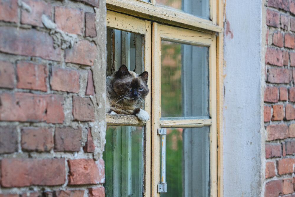 Photograph by Демьян Лопатов