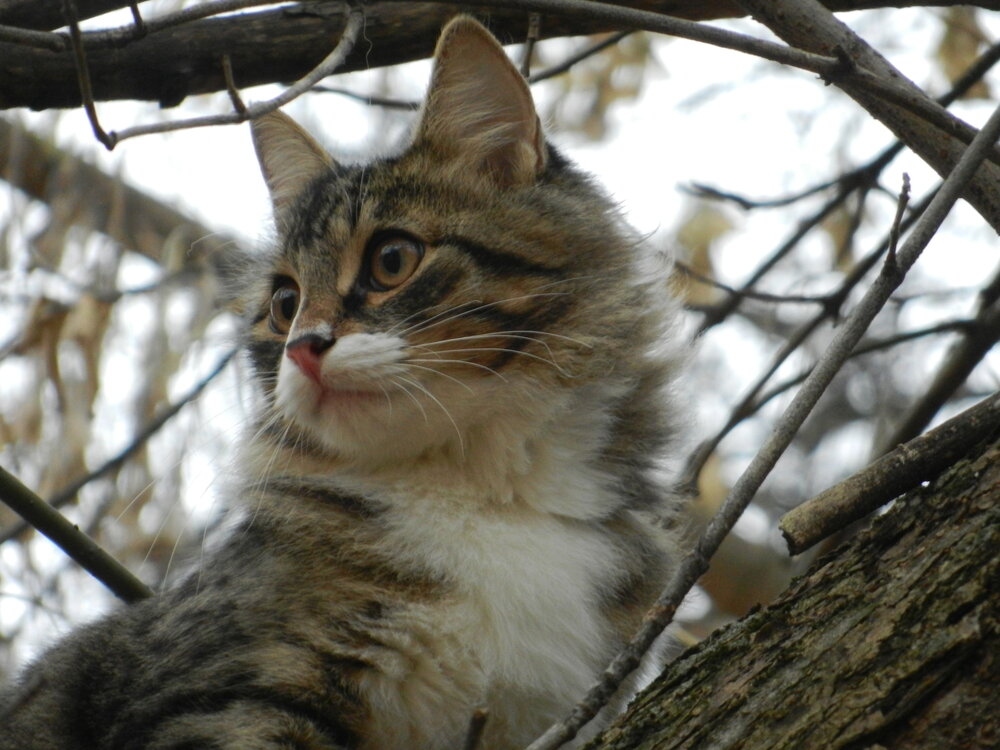 Photo #14062004