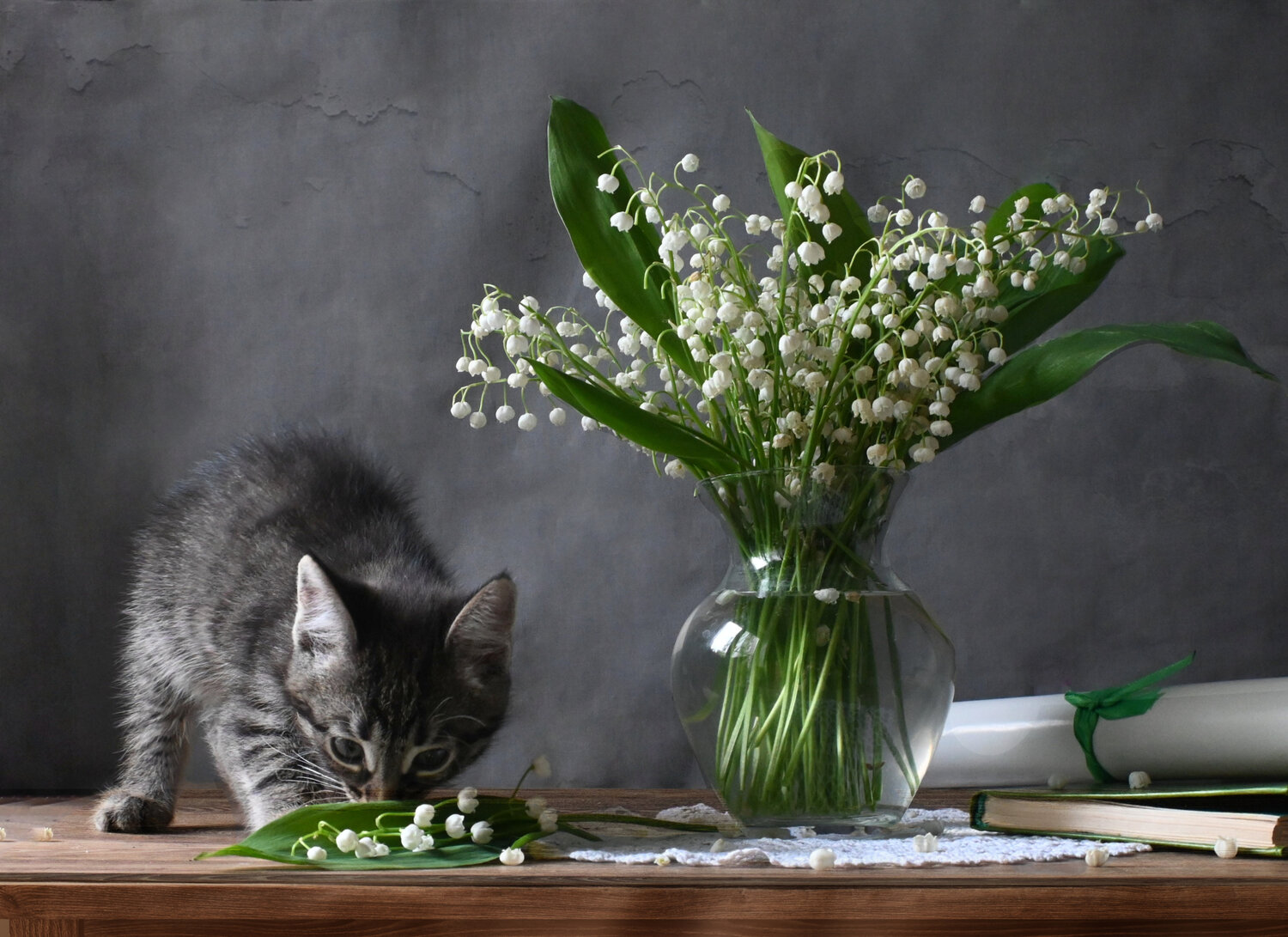 Photo #14062028