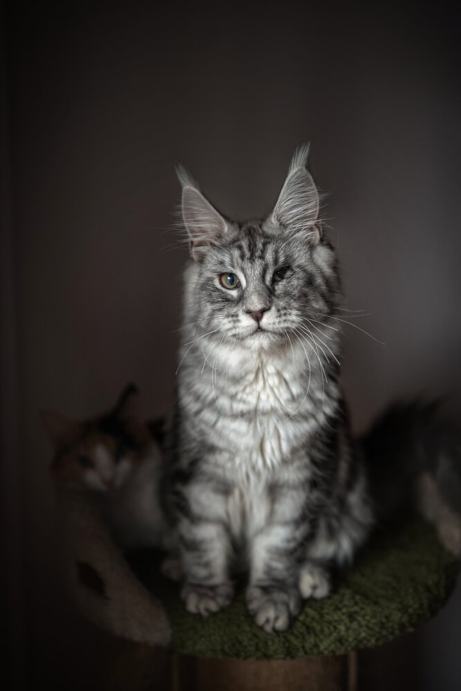 Photograph by Марина Иванова