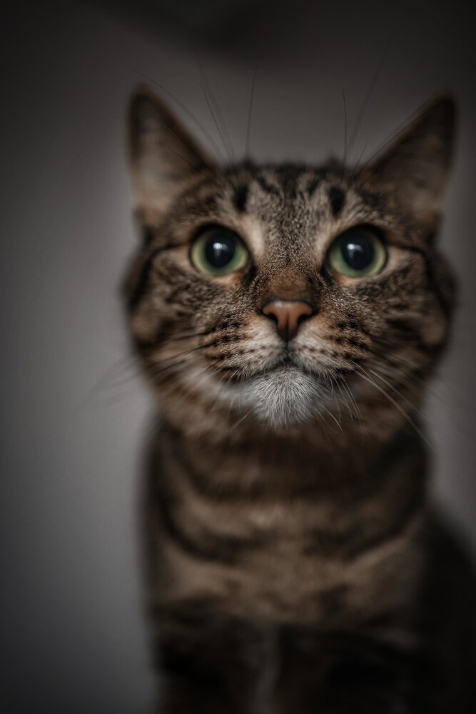 Photograph by Марина Иванова
