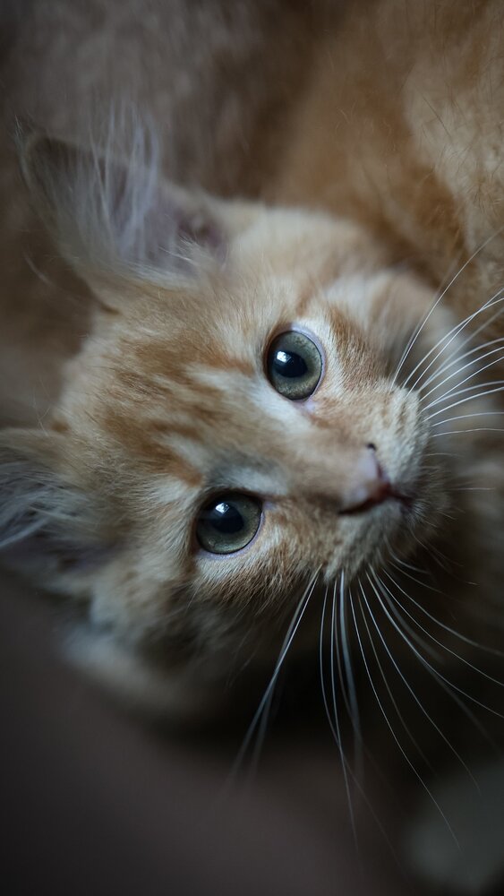 Photograph by Марина Иванова