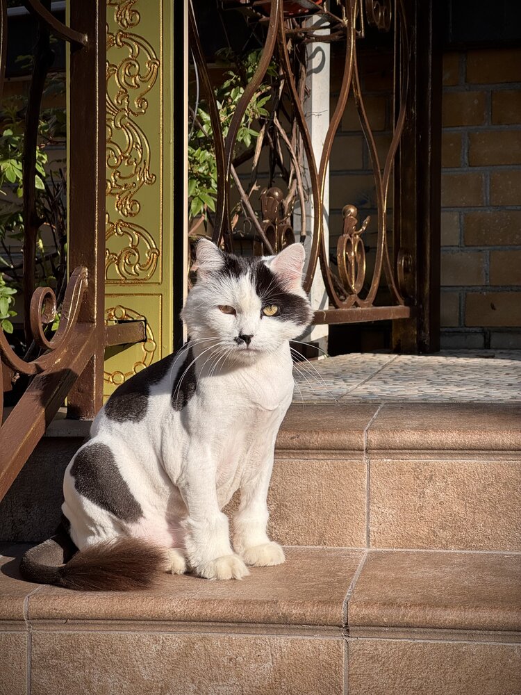 Photograph by Татьяна Смирнова