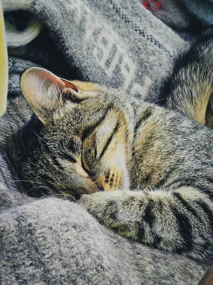Photograph by Ирина Хлебникова