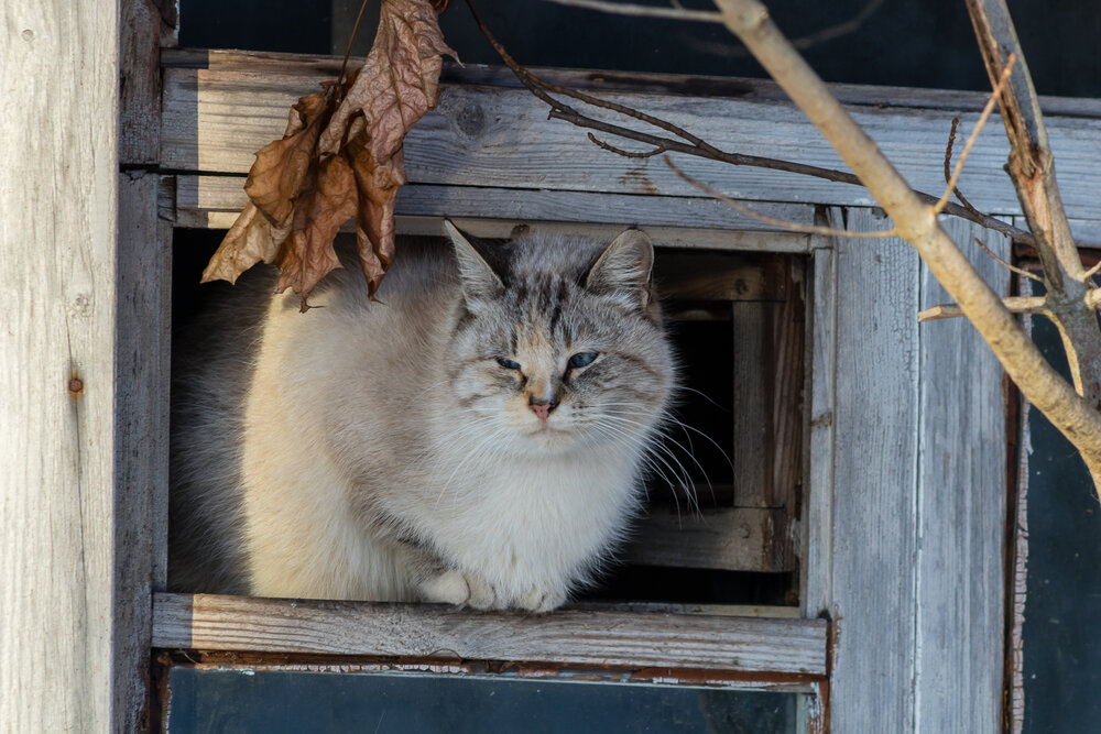 Photograph by Игорь Соя