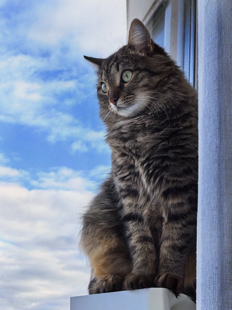 Photograph by Людмила Лебедева