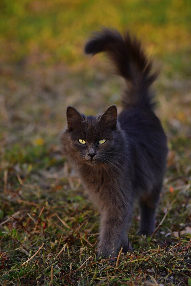 Photograph by Elena Mironova