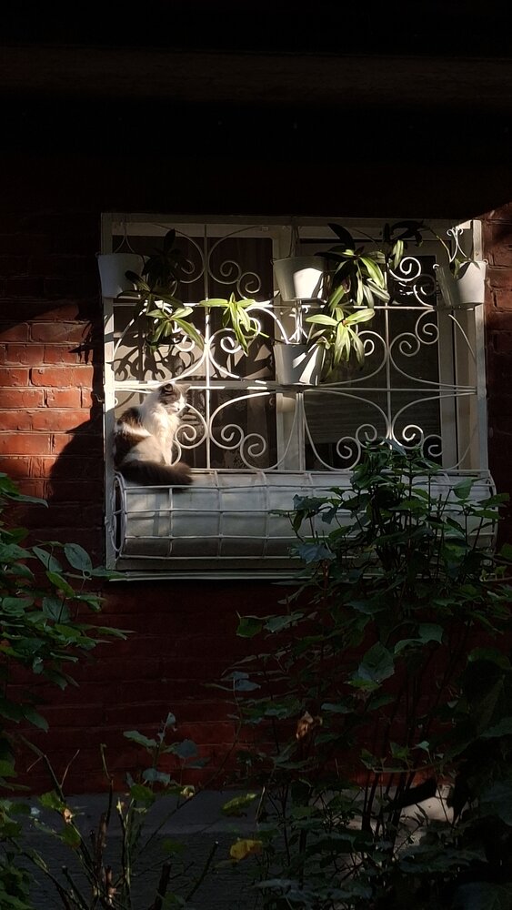 Photograph by Margarita Teterkina