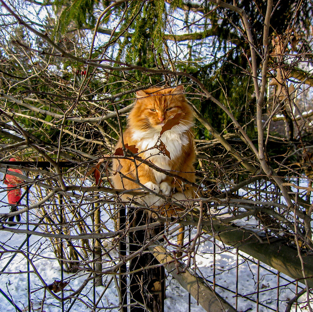 Photograph by Владимир Арбесман