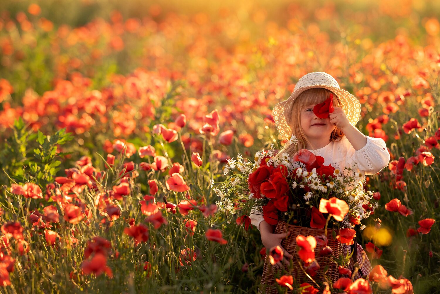 Photo #14062402