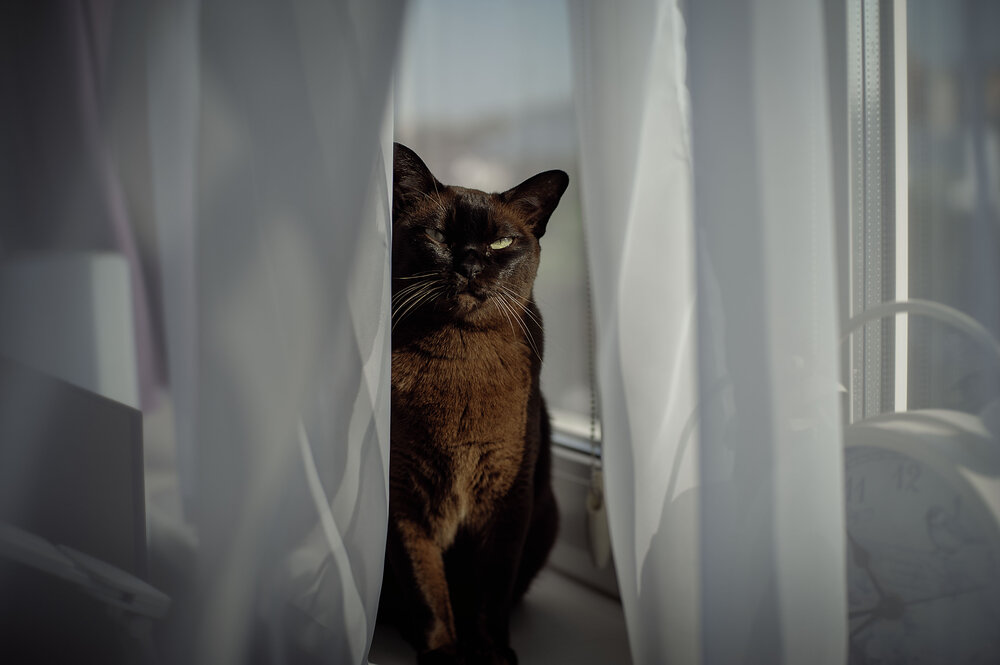 Photograph by Наталья Тутарева