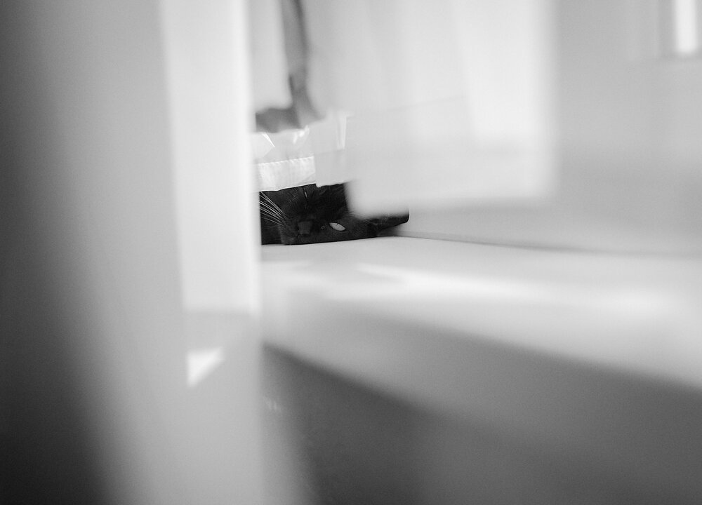 Photograph by Наталья Тутарева