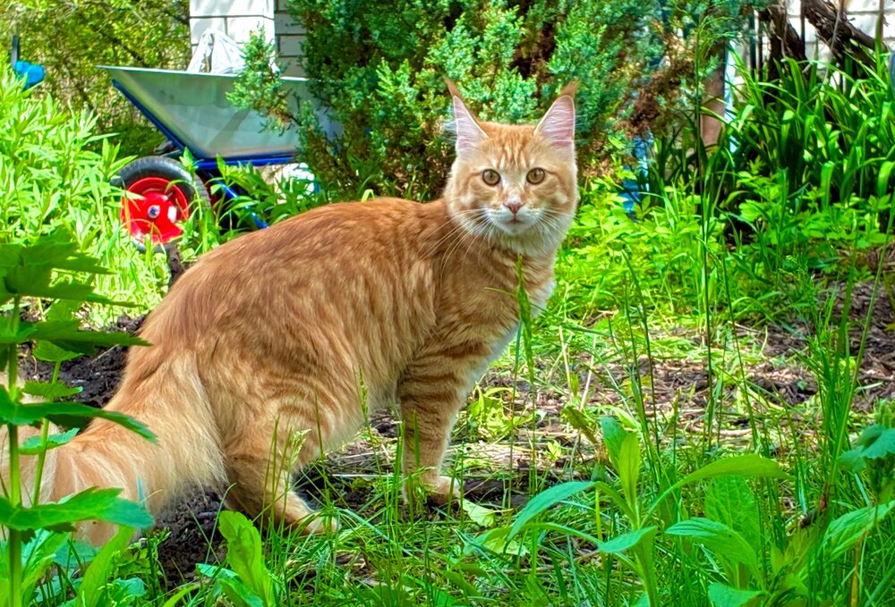 Photograph by Михаил Шевцов