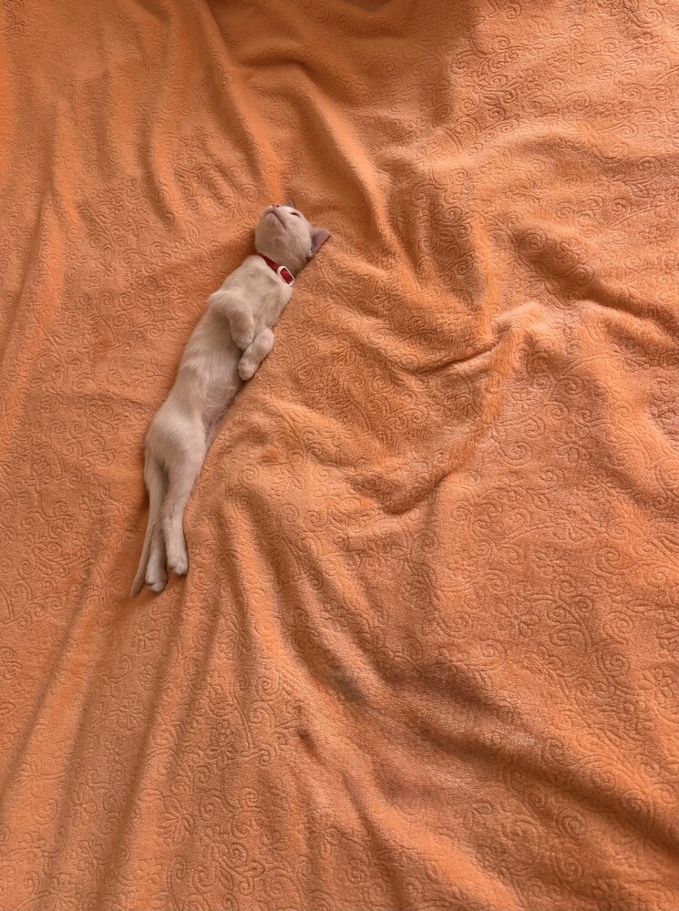 Photograph by Ольга Солодилова
