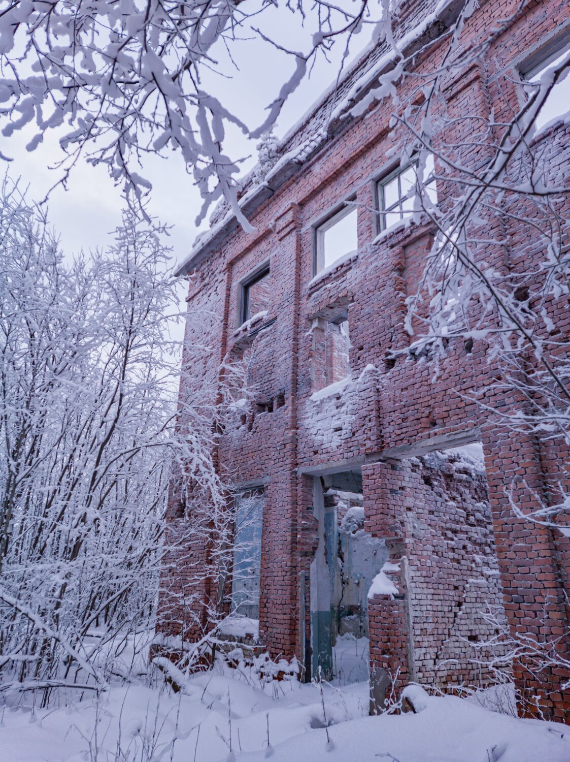 Photo #14062446