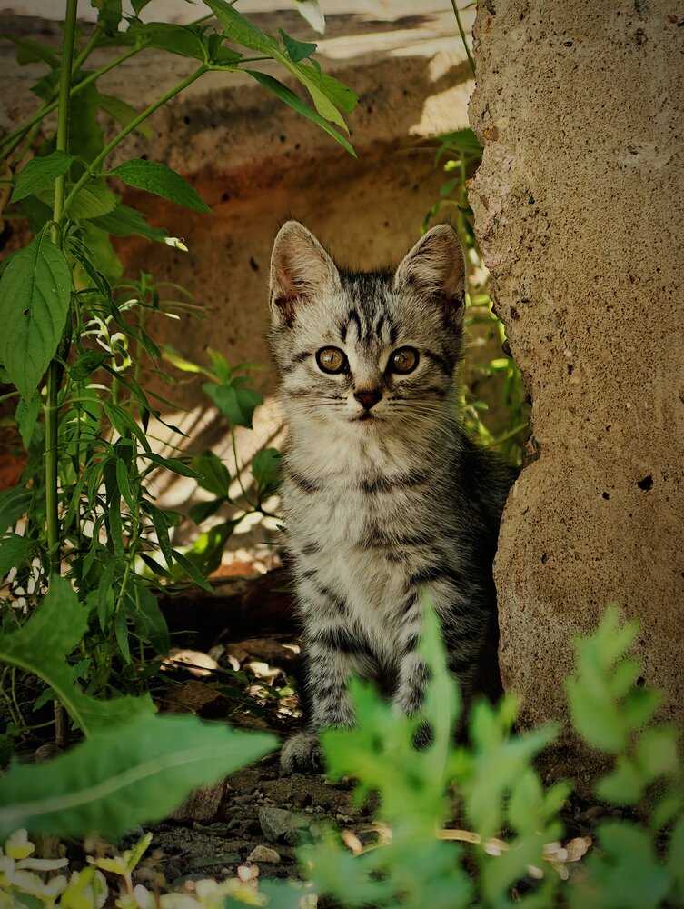 Photograph by Виктор Анциферов