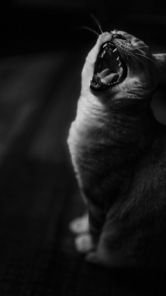 Photograph by Nata Smirnova