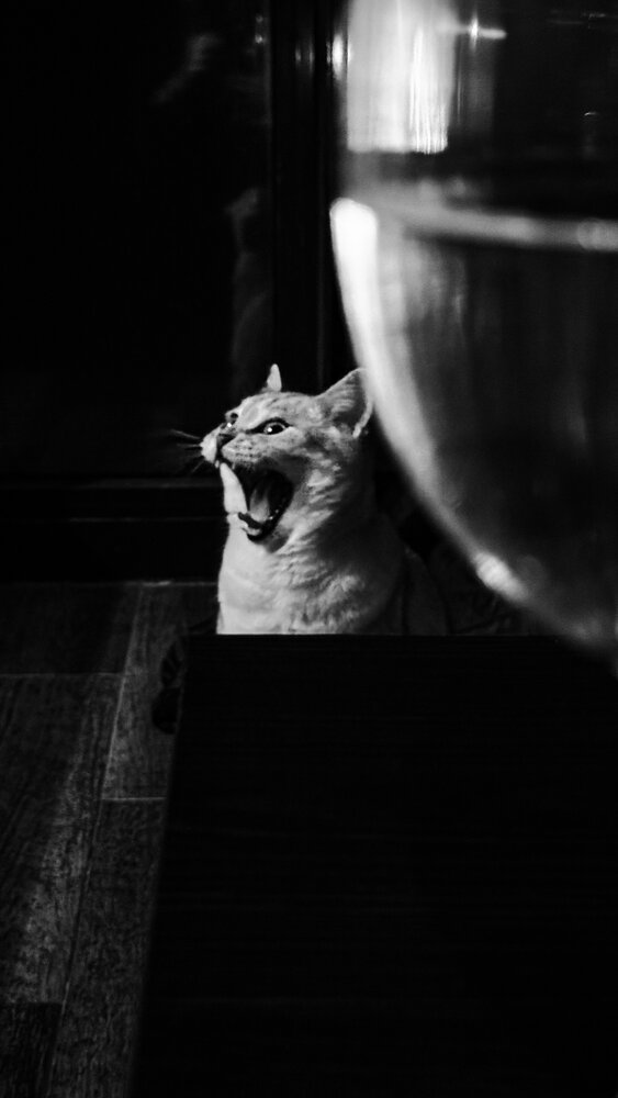 Photograph by Nata Smirnova