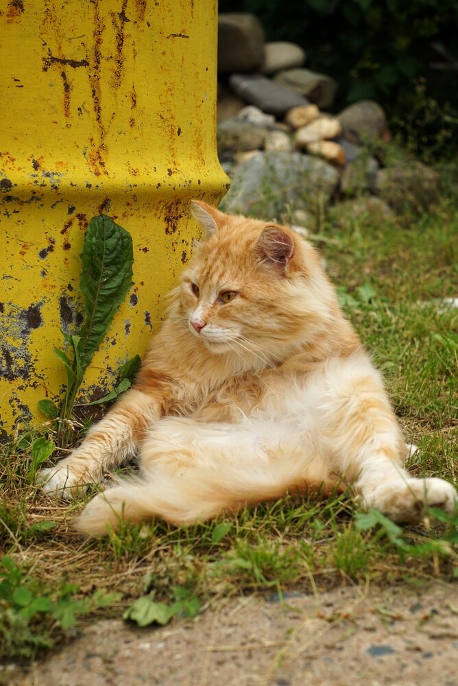 Photograph by Юлия Тимофеева