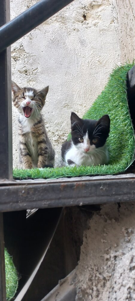 Photo #14062556