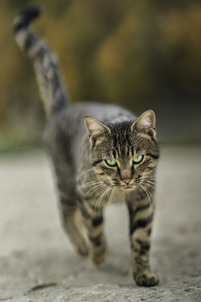 Photograph by Артём Гуцалюк