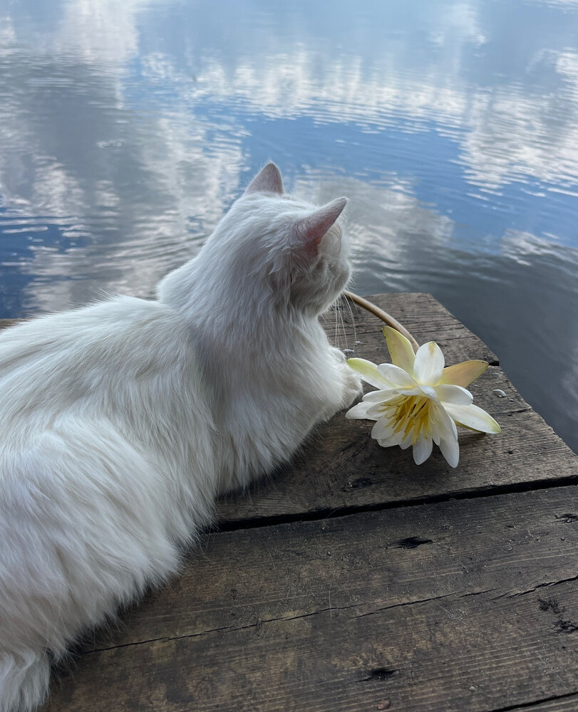 Photograph by Александрова Юля