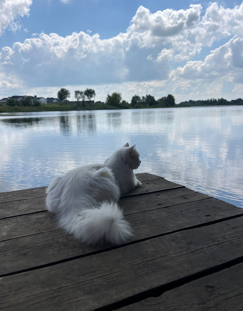 Photograph by Александрова Юля