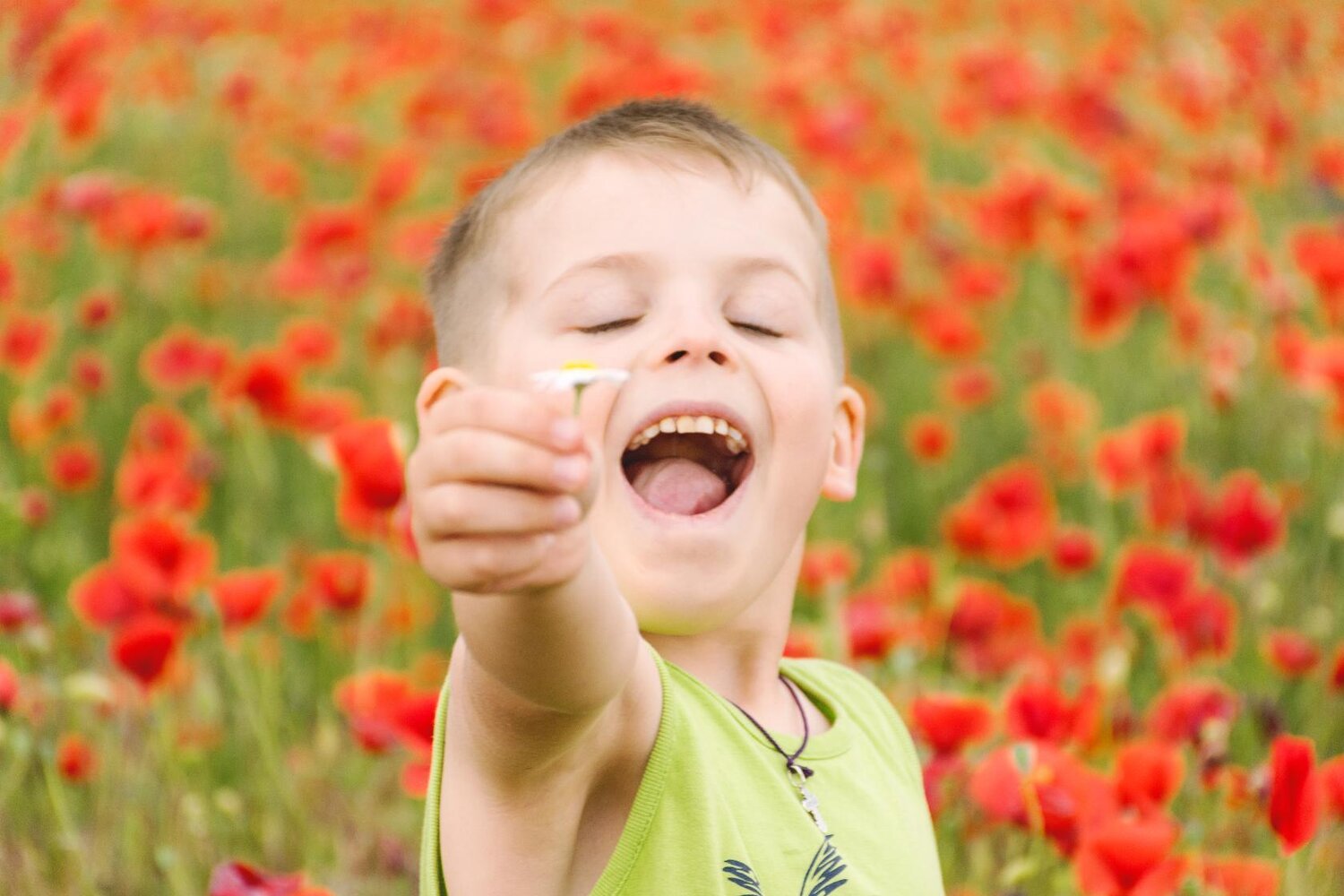 Photo #14062670