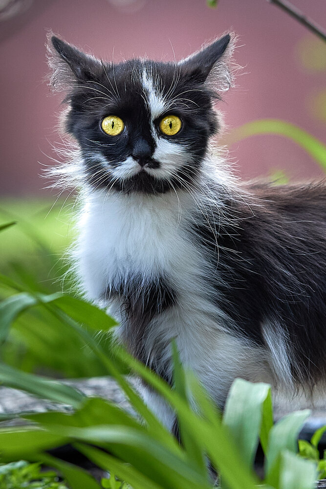 Photograph by Дмитрий Казачек