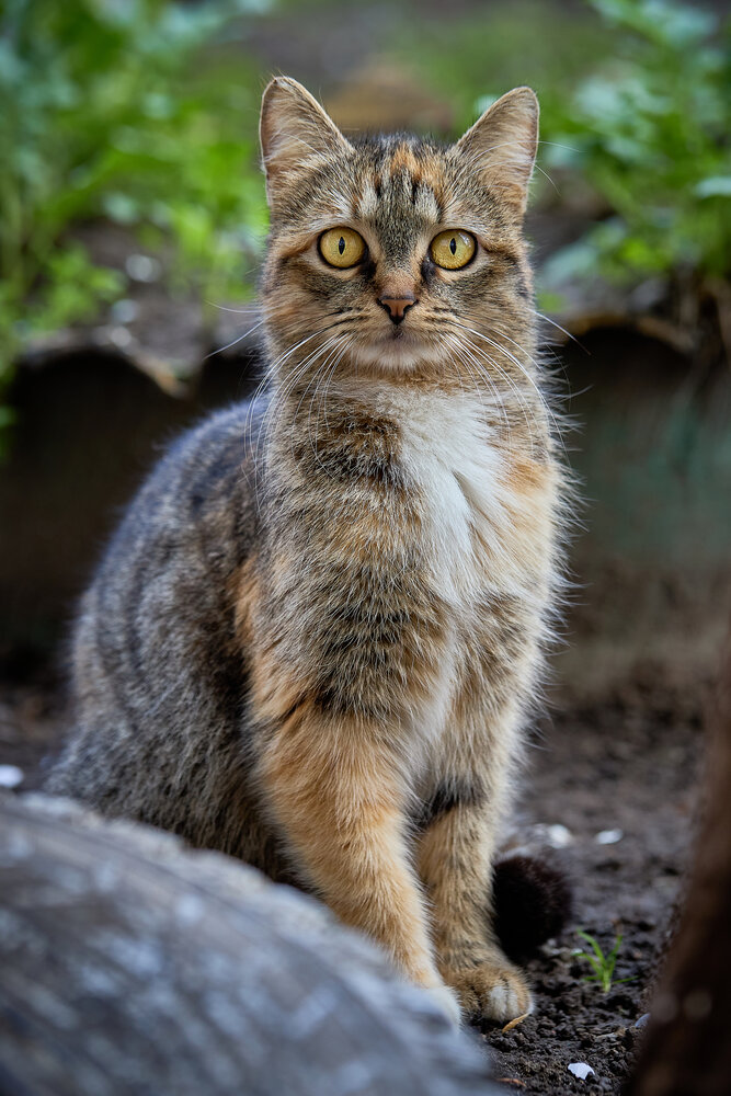 Photograph by Дмитрий Казачек