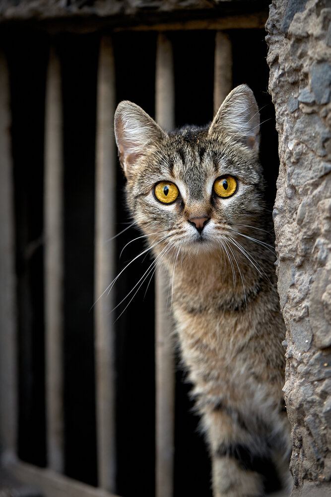 Photograph by Дмитрий Казачек