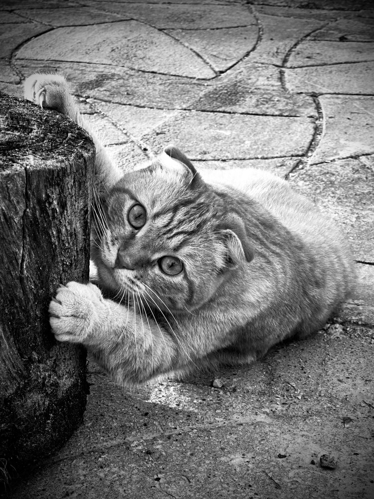 Photograph by Денис Ковальчук