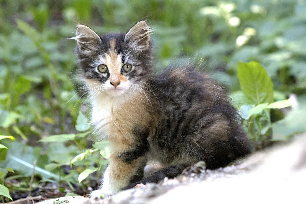 Photograph by Александр Новиков