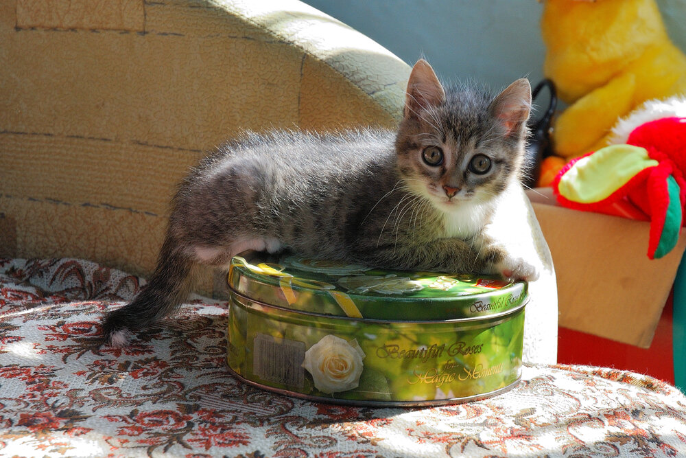 Photograph by Юрий Тимофеев