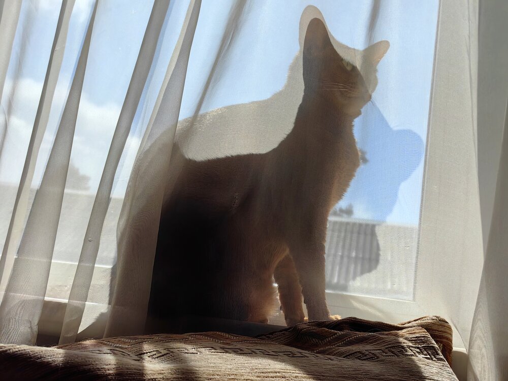 Photograph by Гойшик Сергей