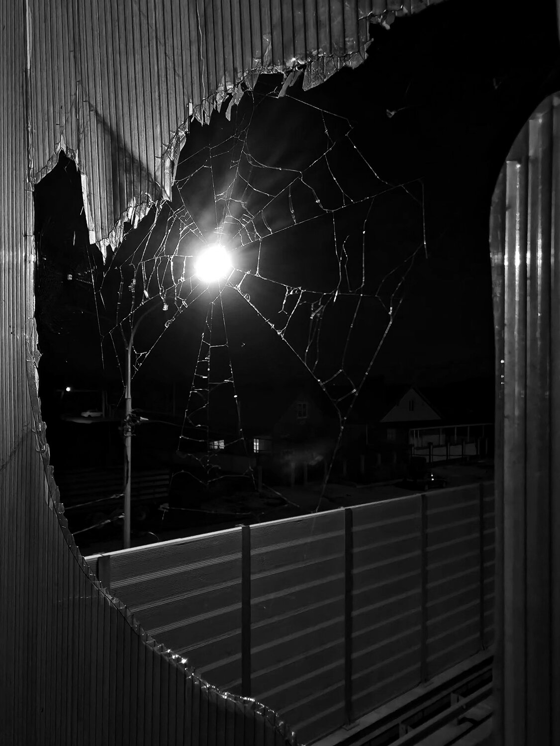 Photo #14062796