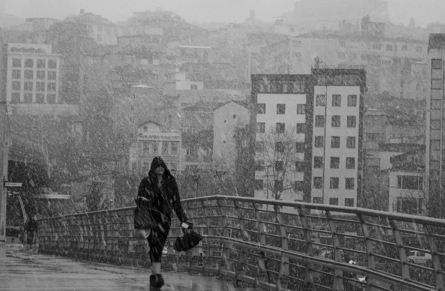 Photo #14062863