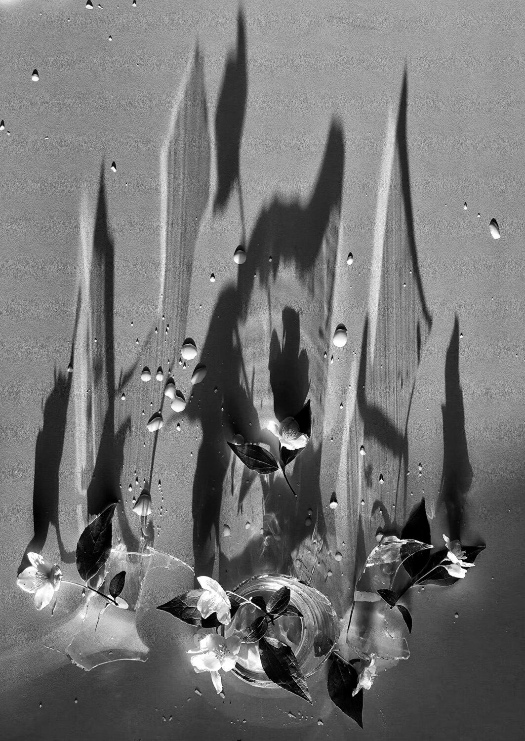 Photo #14062866