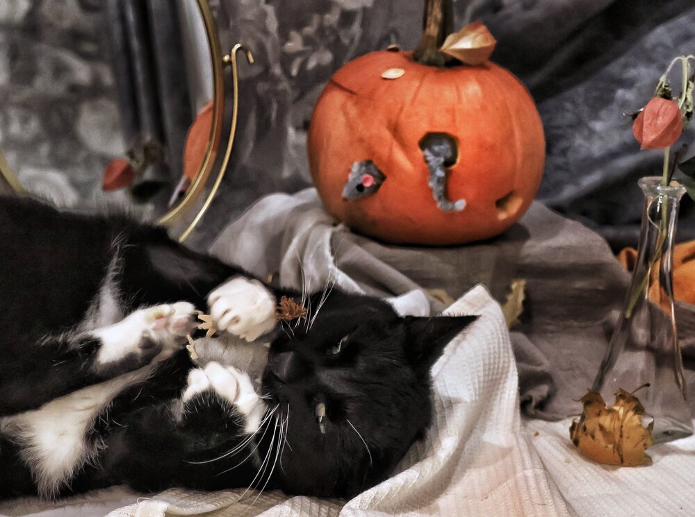 Photograph by Olga Asson