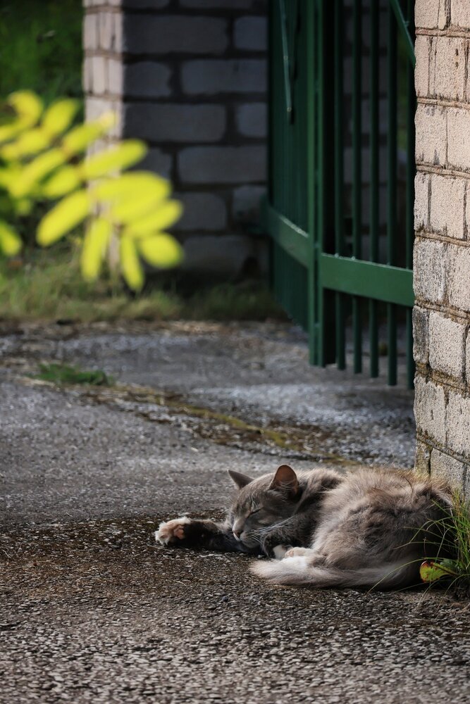 Photograph by Olga Asson