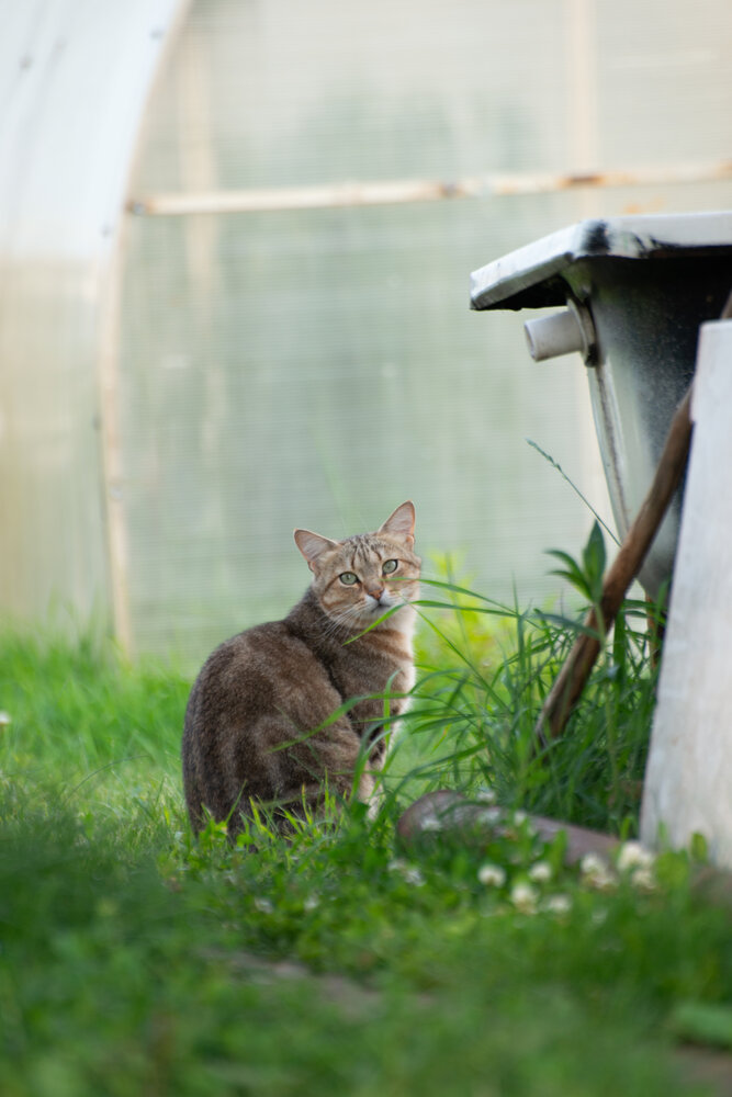 Photograph by Илья Долгушев