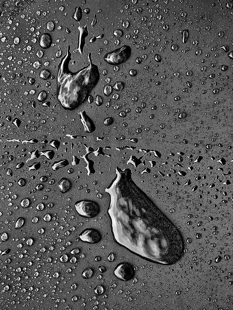 Photograph by GOUTAM PAL