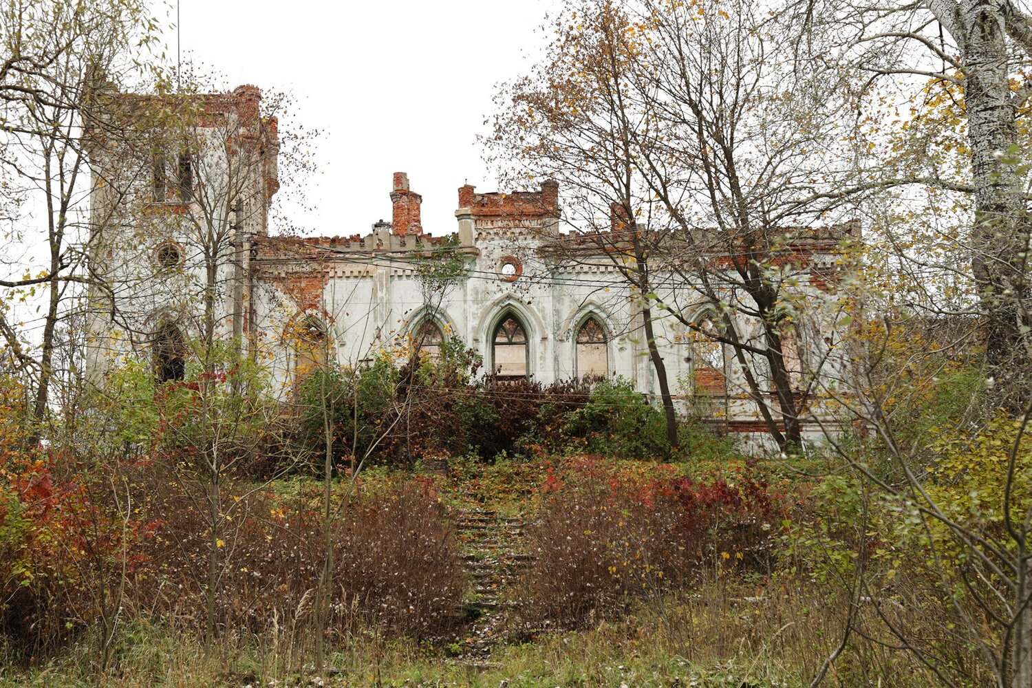 Photo #14062960
