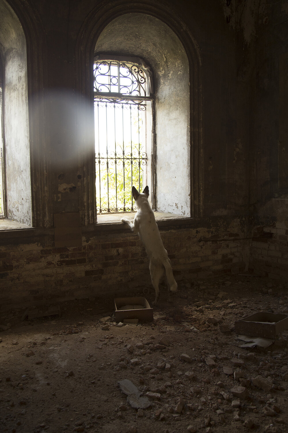 Photo #14062963