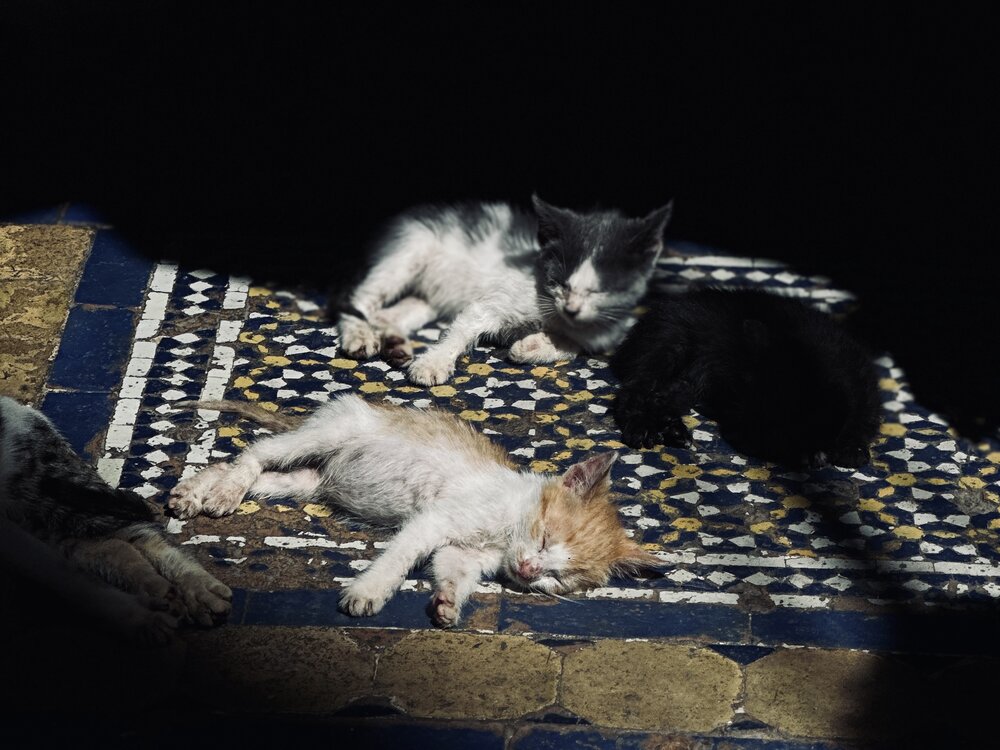 Photograph by Светлана Ионова