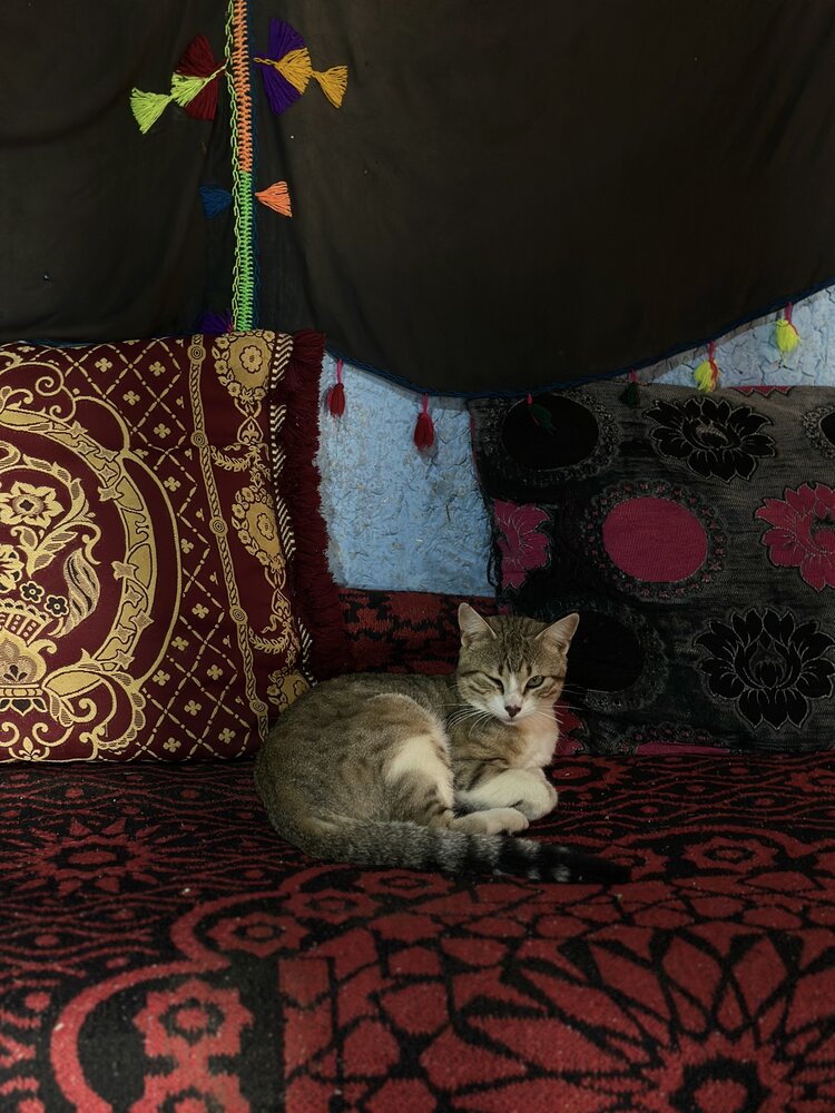 Photograph by Светлана Ионова