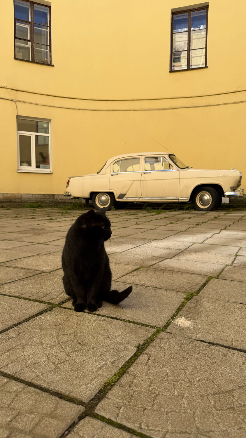 Photo #14062992